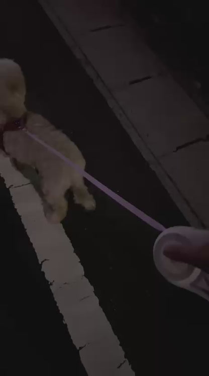 【夜の散歩も安心】LEDライト付き自動伸縮リード｜3m・5m｜小型・中型犬対応 🐾
